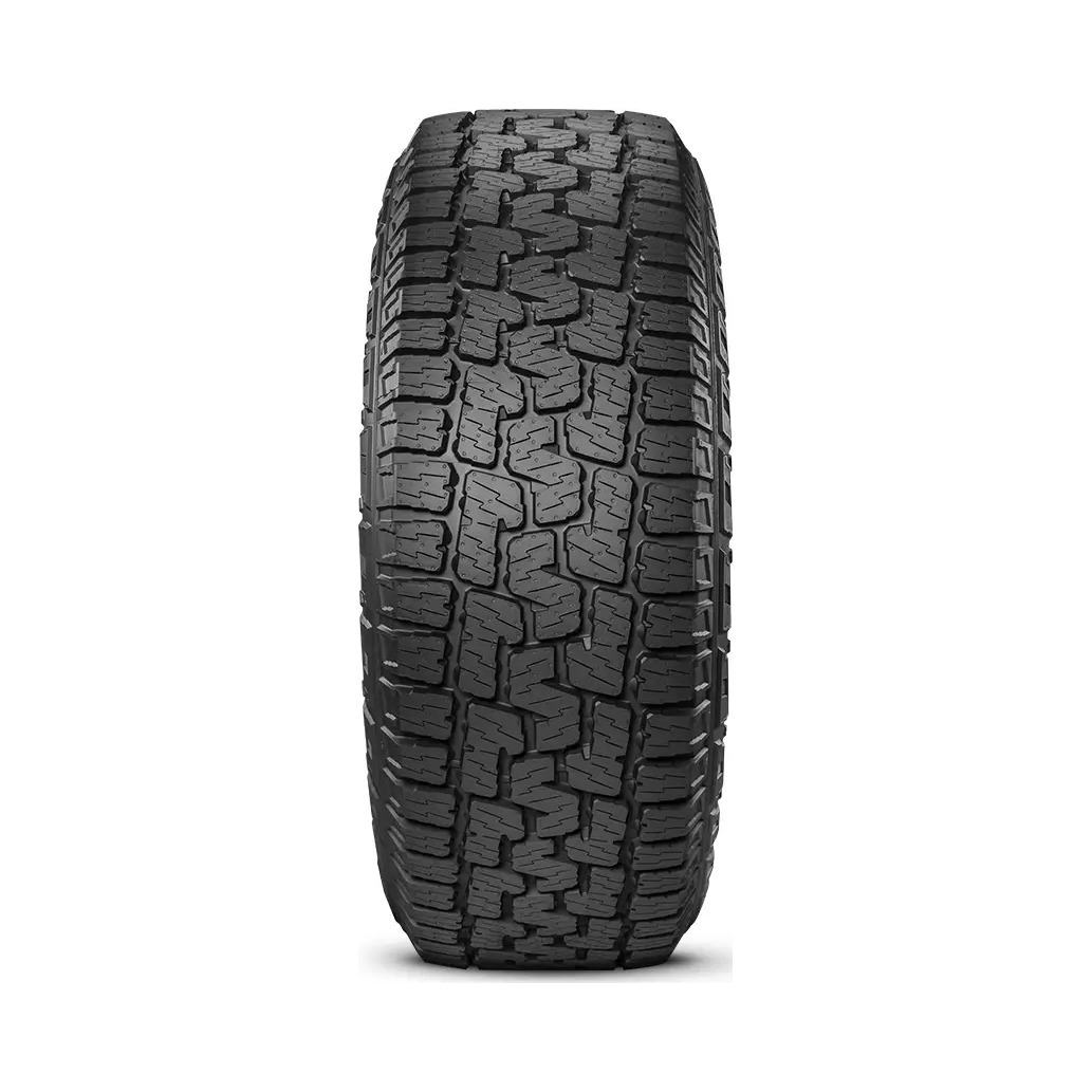 265/65  R18  Pirelli Scorpion ALL TERRAIN PLUS 114T Вид 1