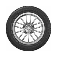 215/55  R17  Cordiant Snow Cross шип 98T Вид 3