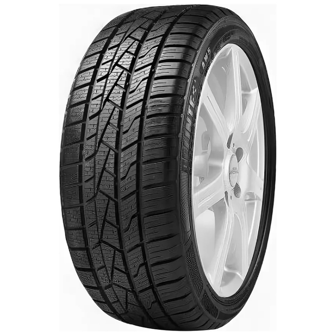 215/65  R17  Delinte AW5 99V Вид 0