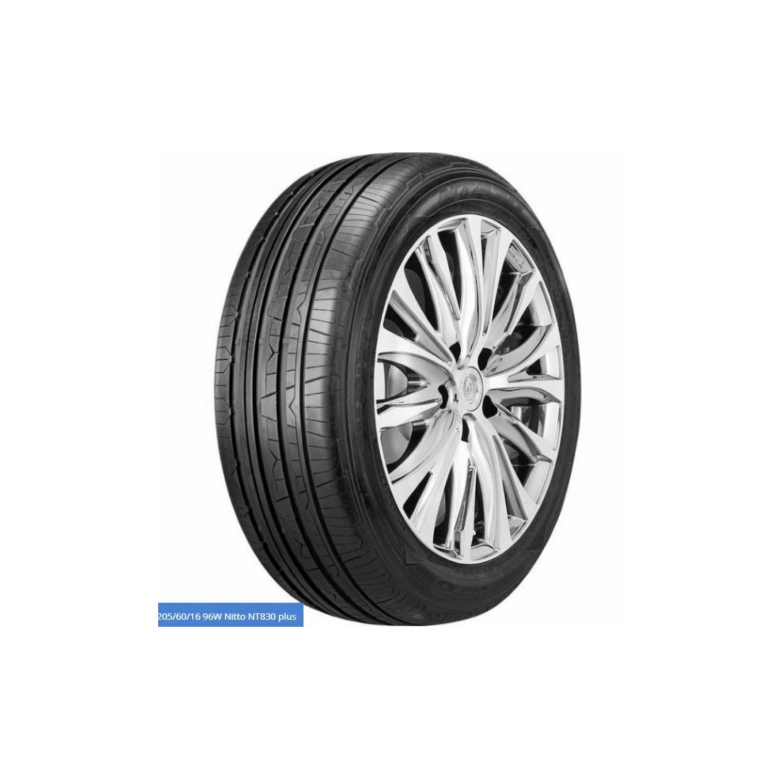 245/45  R17  Nitto NT 830 99W Вид 0