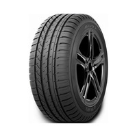 295/35  R21  Arivo Ultra ARZ4 107W XL