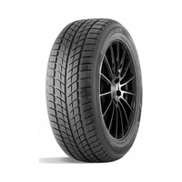 315/35  R20  DoubleStar DW09 106T