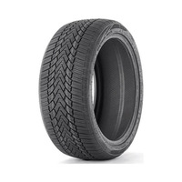 225/50  R18  Fronway Icemaster I 99H XL