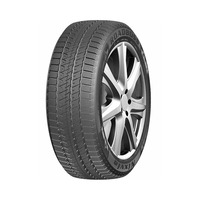 245/45  R20  ROADBOSS W301 103H XL