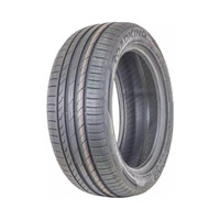 205/55  R17  Roadking Argos UHP 95W XL