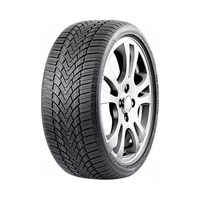 255/40  R20  Roadmarch WinterXPro 888 101V XL