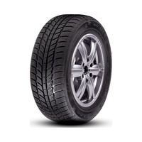 245/70  R16  ROADX RXFROST WH01 107T