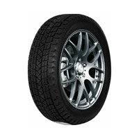 225/65  R17  Tourador Winter Pro TSS1 102T